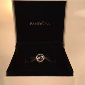 Pandora charm